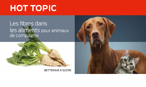 Les Fibres Dans Les Aliments Pour Animaux De Compagnie