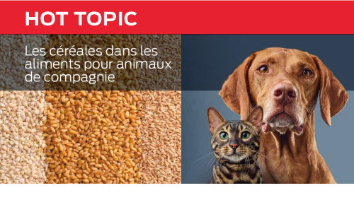 Les Céréales Dans Les Aliments Pour Animaux De Compagnie