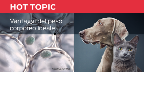 Vantaggi del peso corporeo ideale