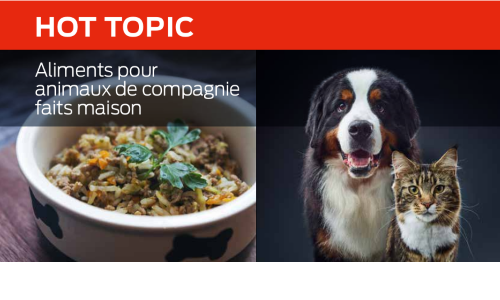 Les Aliments Faits Maison Pour Les Animaux De Compagnie