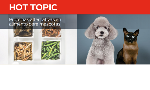 Proteínas Alternativas en Alimentos Para Mascotas