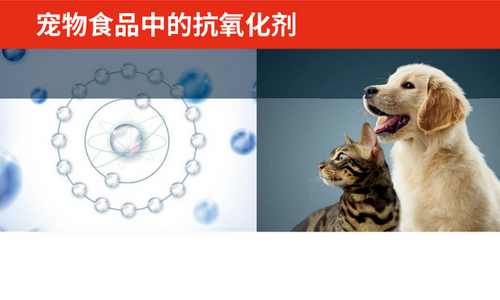 宠物食品中的抗氧化剂