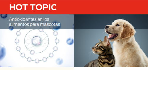 Antioxidantes en los alimentos para mascotas