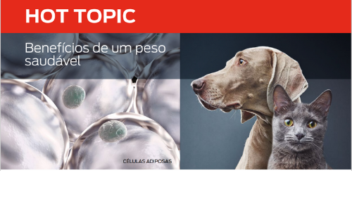 Benefícios De Um Peso Saudável