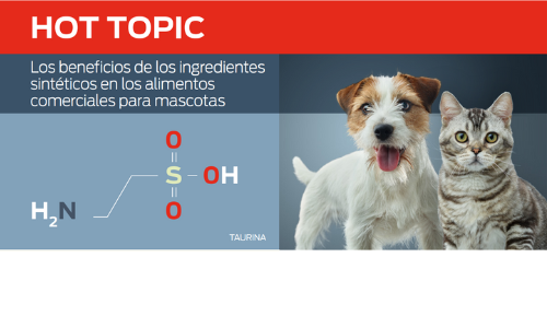 Beneficios de los ingredientes sintéticos en los alimentos comerciales para mascotas