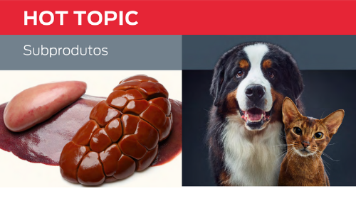 Subprodutos