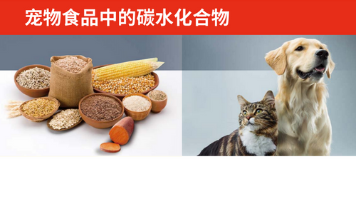 宠物食品中的碳水化合物