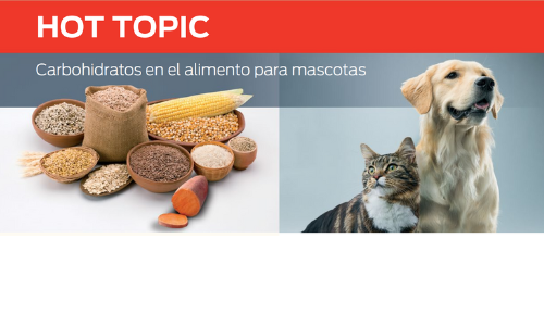 Carbohidratos en El Alimento Para Mascotas
