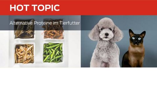 Alternative Proteine im Tierfutter