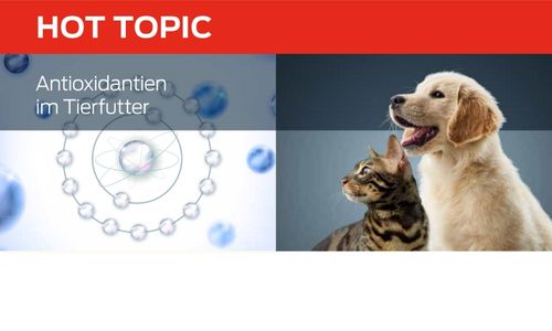 Antioxidantien in Tierfutter