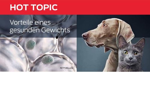 Vorteile eines gesunden Gewichts