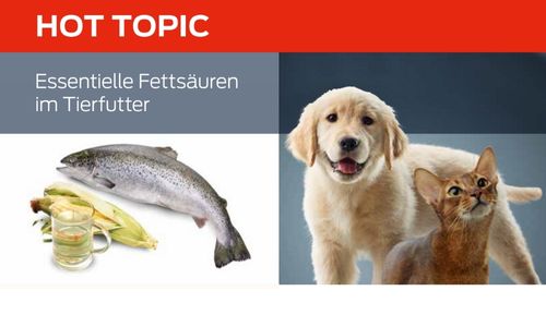 Essentielle Fettsäuren im Tierfutter