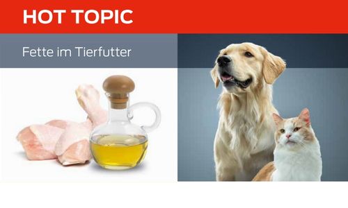 Fette im Tierfutter