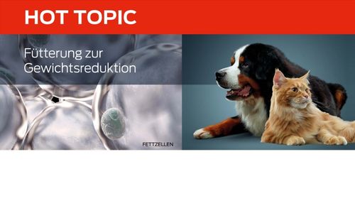 Fütterung zur Gewichtsreduktion