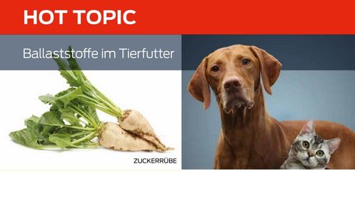 Ballaststoffe im Tierfutter