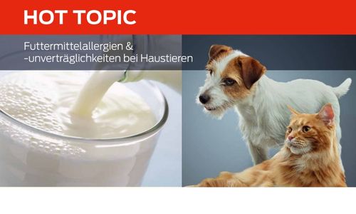 Futtermittelallergien &-unverträglichkeiten bei Haustieren