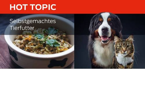 Selbstgemachtes Tierfutter