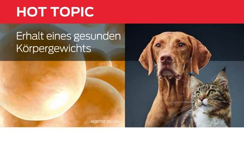 Erhalt eines gesunden Körpergewichts 