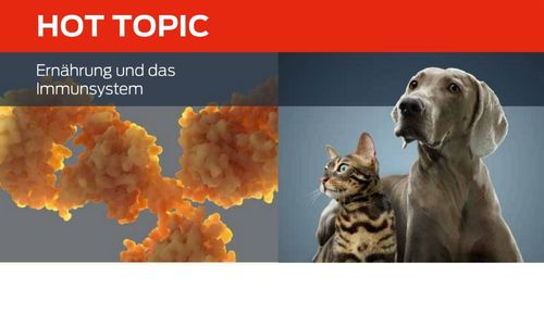 Ernährung und das Immunsystem