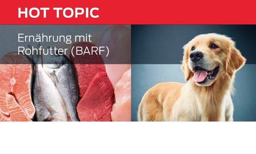 Ernährung mit Rohfutter (BARF)