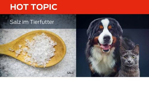 Salz im Tierfutter