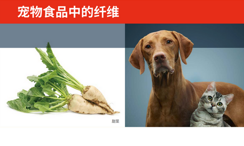 宠物食品中的纤维