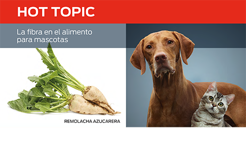 La Fibra en El Alimento Para Mascotas