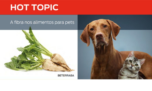 A Fibra Nos Alimentos Para Pets
