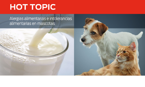 Alergias Alimentarias E Intolerancias Alimentarias en Mascotas