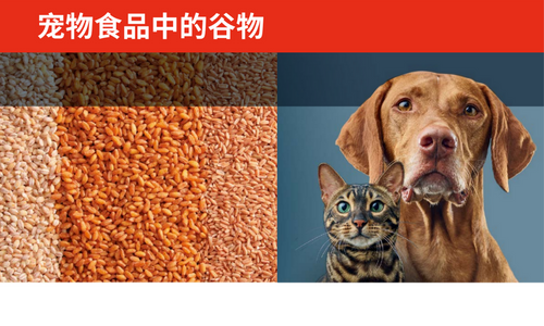 宠物食品中的谷物