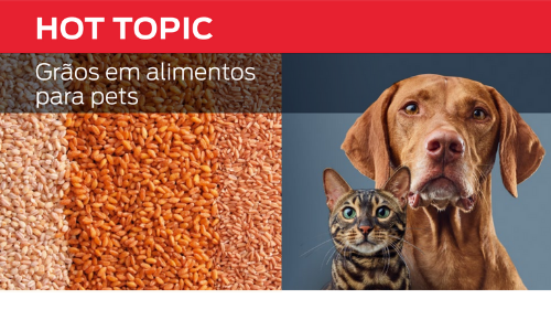 Grãos Em Alimentos Para Pets
