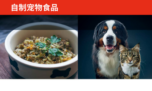自制宠物食品