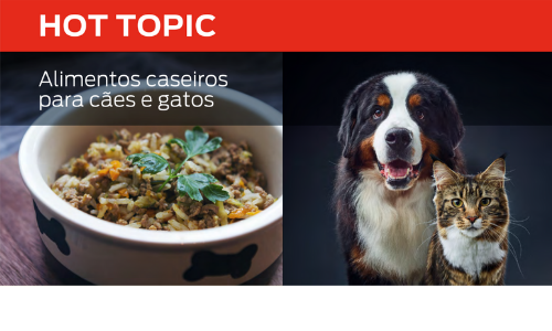 Alimentos caseiros para cães e gatos