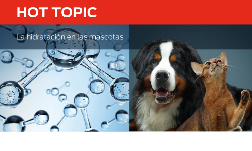 Hidratación en Mascotas 