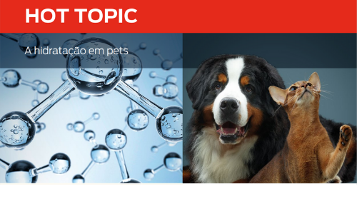 A Hidratação Em Pets