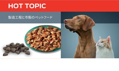 製造工程と市販のペットフード