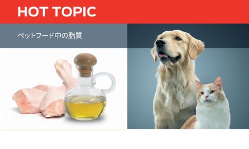 ペットフード中の脂質
