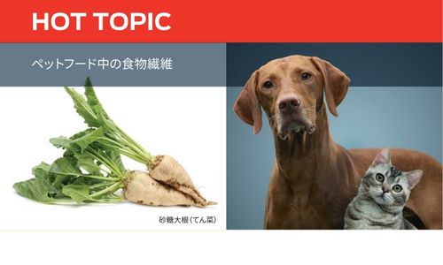 ペットフード中の食物繊維