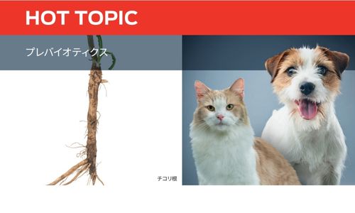 プレ バイオティクス