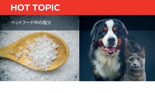 ペットフード中の塩分