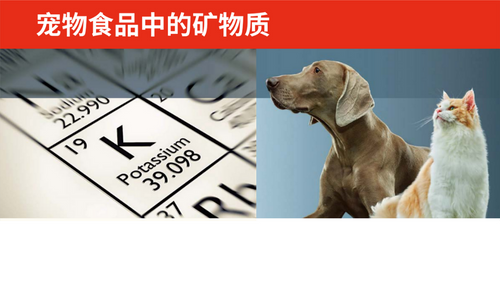 宠物食品中的矿物质