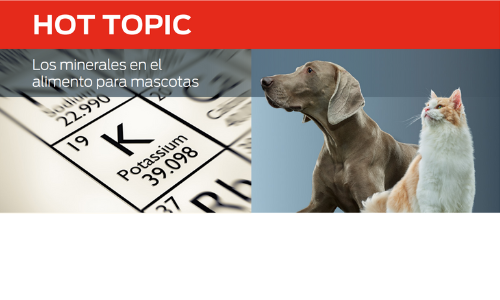 Los Minerales en El Alimento Para Mascotas