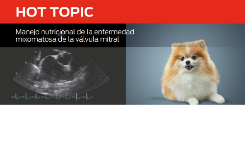 Control Alimentario De La Enfermedad Mixomatosa De La Válvula Mitral (MMVD)