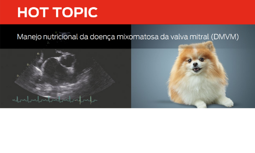 Controle Dietético Da Doença Mixomatosa Da Válvula Mitral (MMVD)