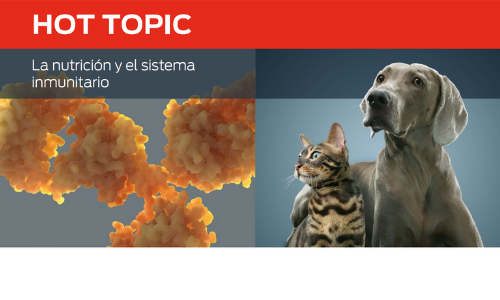 Nutrición y el sistema inmunitario