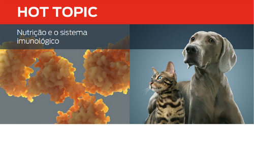 Nutrição e o sistema imunológico