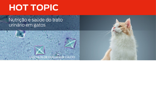 Nutrição E Saúde Do Trato Urinário Em Gatos