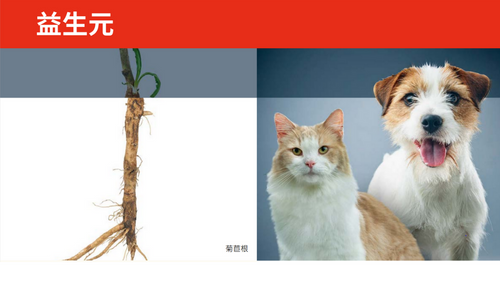 益生元