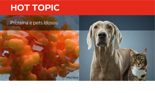 Proteína E Pets Idosos