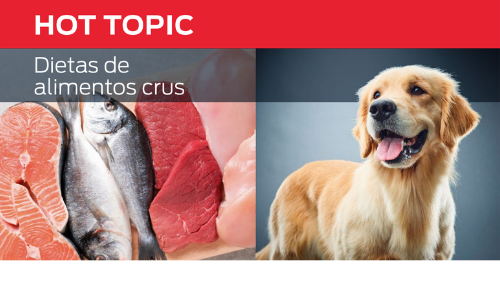 Dietas Com Alimentos Crus